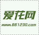 家里养三角梅吉不吉利(家里养三角梅吉不吉利 三角梅风水禁忌你不得不看)