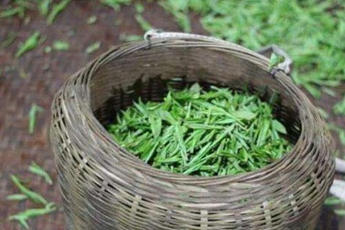 宁红茶的功效与作用，宁红茶多少钱一斤