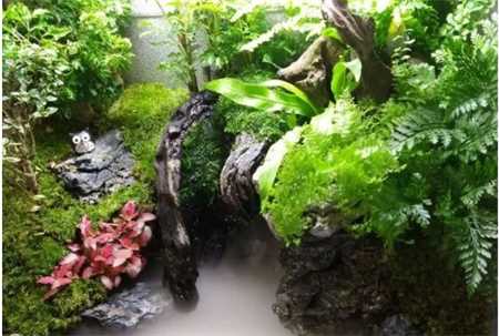 20种花塞进1个玻璃瓶，叶子突突冒水，美的不像样！