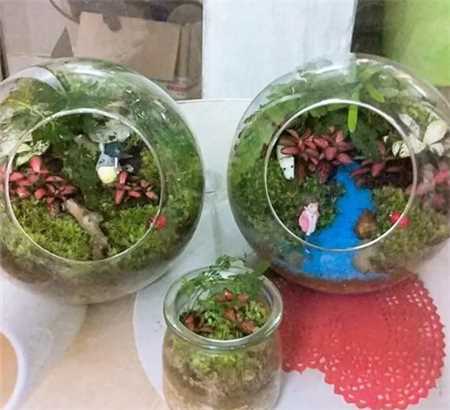 20种花塞进1个玻璃瓶，叶子突突冒水，美的不像样！