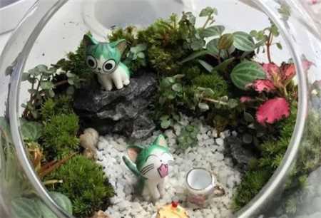 20种花塞进1个玻璃瓶，叶子突突冒水，美的不像样！