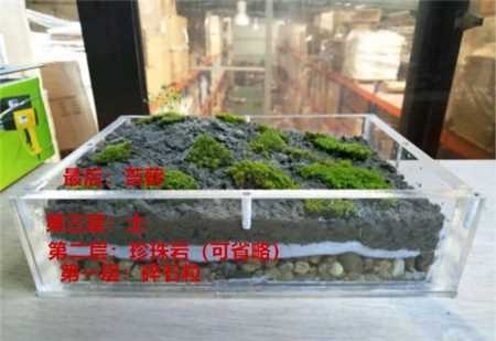 20种花塞进1个玻璃瓶，叶子突突冒水，美的不像样！