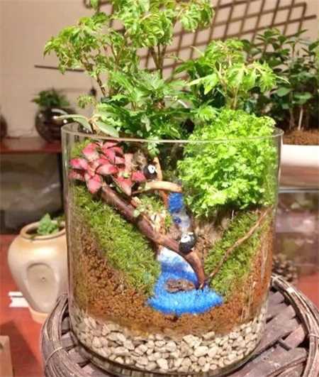 20种花塞进1个玻璃瓶，叶子突突冒水，美的不像样！