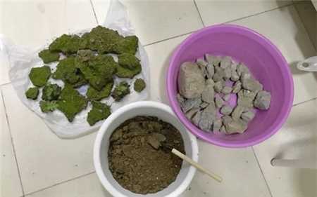 20种花塞进1个玻璃瓶，叶子突突冒水，美的不像样！