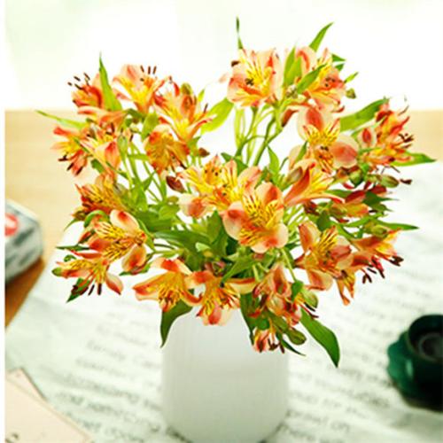 <a href='https://www.861230.com/guanhuazhiwu/6557.html' target='_blank'><u>水仙</u></a><a href='https://www.861230.com/guanhuazhiwu/6585.html' target='_blank'><u>百合</u></a>的养殖方法和注意事项