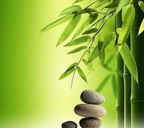 竹子的养殖方法和注意事项