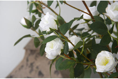 白色<a href='https://www.861230.com/guanhuazhiwu/6778.html' target='_blank'><u>茶梅</u></a>