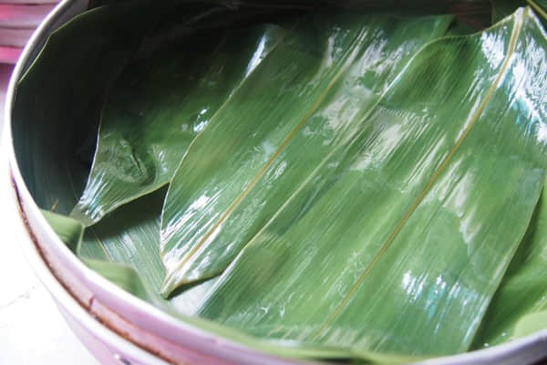 包粽子的叶子是什么植物的叶子？它又有什么功效呢？