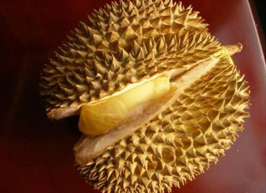 榴莲怎么开,3种方法手把手教你打开(附催熟方法)