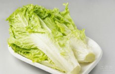 莼菜图片 莼菜图片的价值介绍