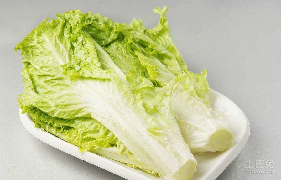 莼菜图片 莼菜图片的价值介绍