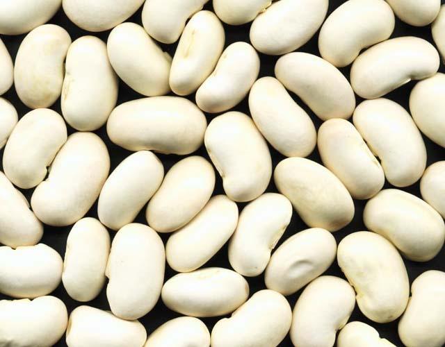 白芸豆图片介绍,何为名贵食用豆?