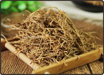 徐长卿的功效与作用有哪些-徐长卿有毒吗