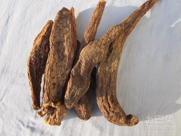 锁阳和肉苁蓉的区别有哪些