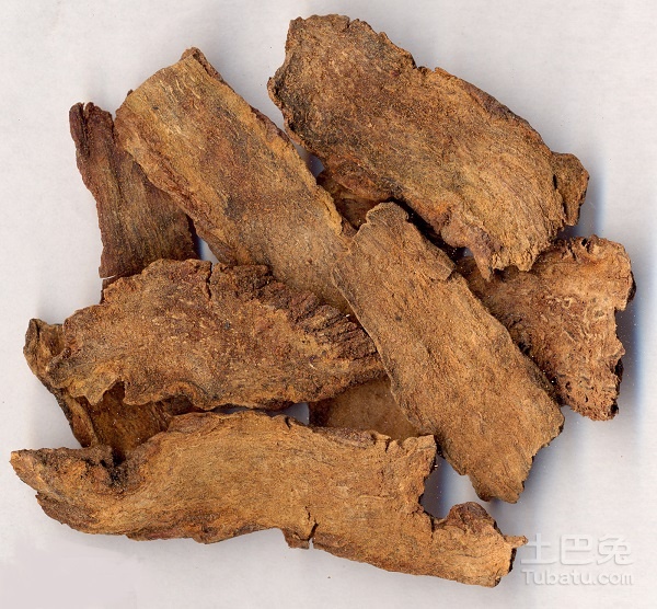 锁阳和肉苁蓉的区别有哪些