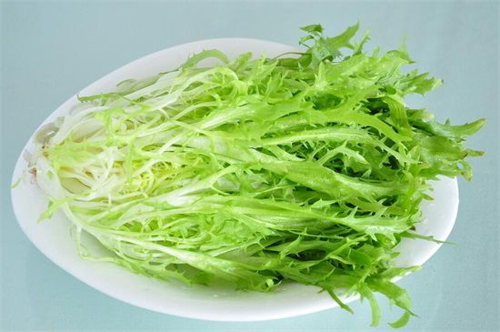 苦菜