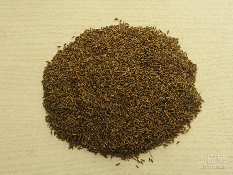 孜然图片 孜然的价值介绍