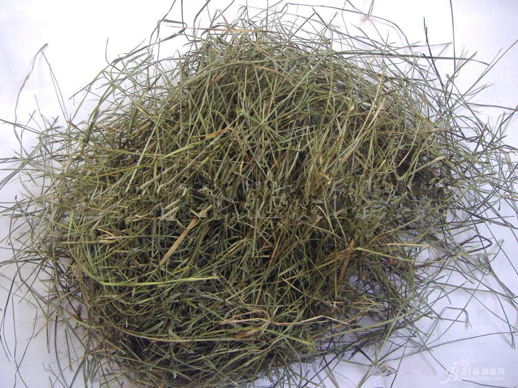 牛更草的功效是什么