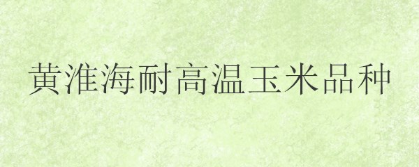 黄淮海耐高温玉米品种