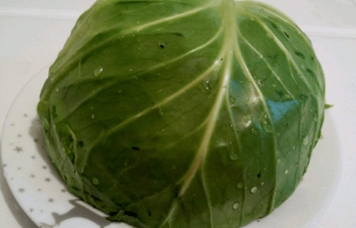 圆白菜图片大全！圆白菜高清图片！