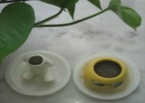 小草盆栽种植方法图解