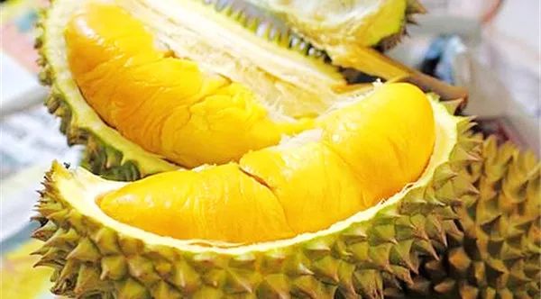 榴莲多少钱一斤,榴莲怎么挑
