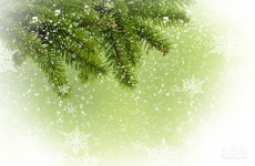 松树的特点及风格的详细介绍