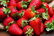 草莓缺水表现 有什么症状