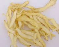 玉竹价格多少钱一斤