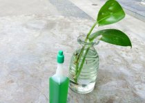 水培植物-如何自制水培营养液