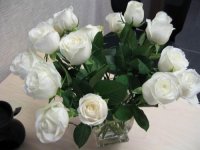 枯萎的白玫瑰花语是什么