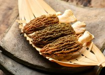 “草笠竹”羊肚菌种植技术有哪些？如何挑选？需要控制光照吗？