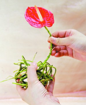 教你<a href='https://www.861230.com/guanhuazhiwu/6595.html' target='_blank'><u>玫瑰</u></a><a href='https://www.861230.com/guanhuazhiwu/6585.html' target='_blank'><u>百合</u></a>插花