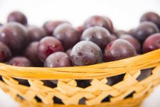 葡萄的种类都有哪些，常见的种类有哪些