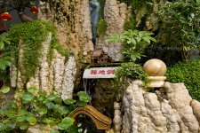 上水石盆景养护办法
