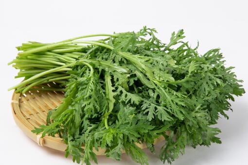 多年生草本植物柳蒿芽是艾草吗?有什么功效和作用?怎么吃?