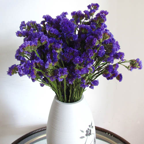 <a href='https://www.861230.com/guanhuazhiwu/6586.html' target='_blank'><u>勿忘我</u></a>的生长习性及种植方法
