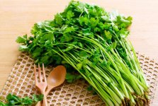 为什么有人不爱吃香菜？而原本讨厌吃香菜的后来又爱吃了呢？原因都在这里