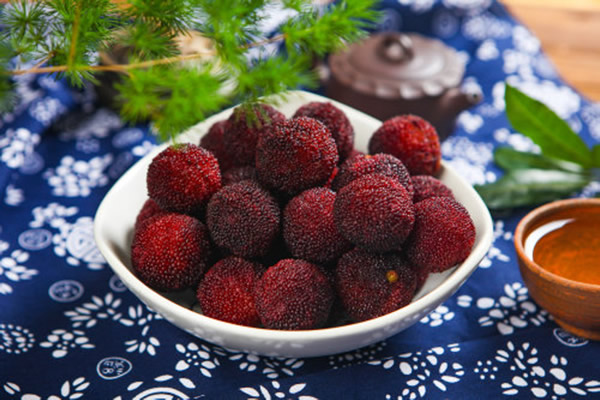 杨<a href='https://www.861230.com/guanhuazhiwu/9.html' target='_blank'><u>梅</u></a>长什么样