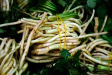 杜鹃花长什么样