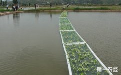 水上蔬菜浮床制作方法