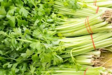 水芹菜多少钱一斤？和芹菜的五大区别！