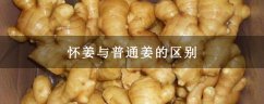 怀姜与普通姜的区别