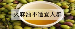 火麻油不适宜人群 食用注意事项