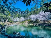 苏州植物园(上方山国