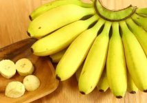 香蕉的栽培技术