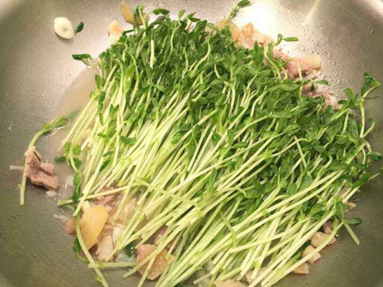豌豆苗可以生吃吗?
