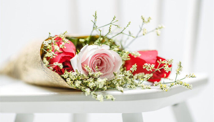 <a href='https://www.861230.com/guanhuazhiwu/6595.html' target='_blank'><u>玫瑰</u></a>图片