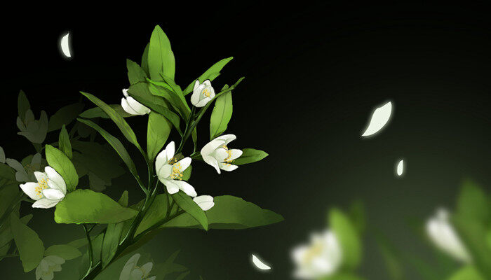 <a href='https://www.861230.com/guanhuazhiwu/11.html' target='_blank'><u>栀子花</u></a>