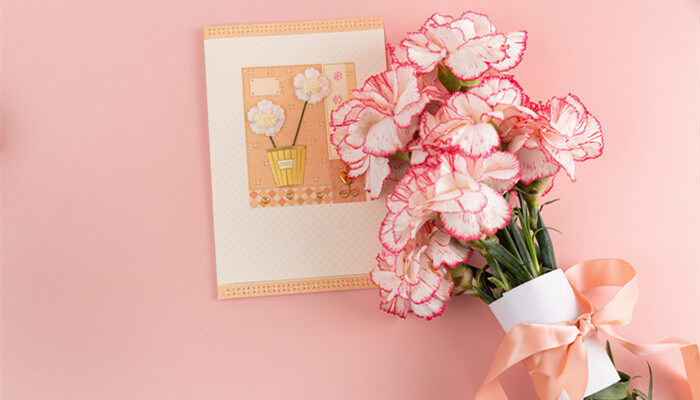 <a href='https://www.861230.com/guanhuazhiwu/49.html' target='_blank'><u>康乃馨</u></a>